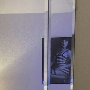 model poster