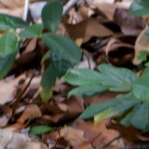 Full Video : Cherie Lorraine Nude Leaks OnlyFans I Nudes - Celeb Nudes