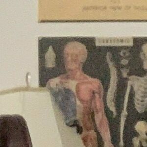 model poster
