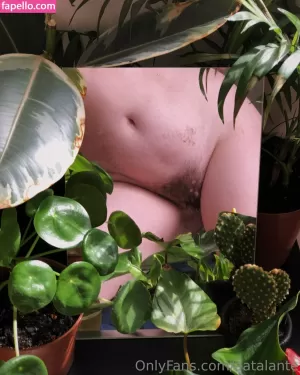 aatalante thumbnail #3794051