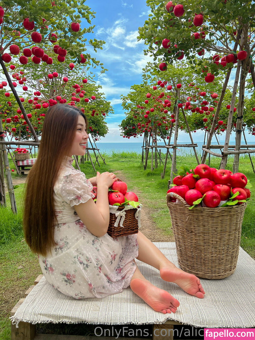 alice.feetze-1