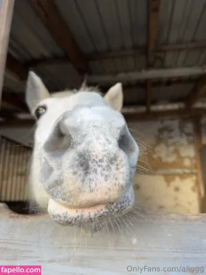 aliggg thumbnail #6253581