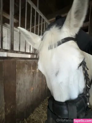 aliggg thumbnail #6253579