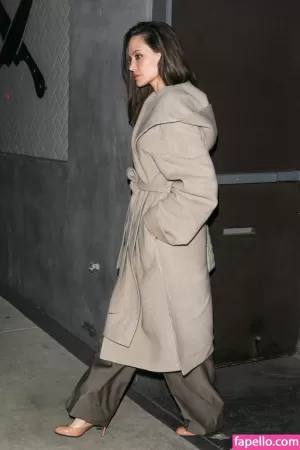 angelina-jolie thumbnail #230479