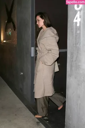 angelina-jolie thumbnail #230475