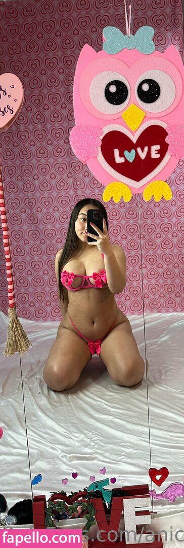 anicakes-2