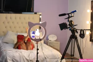 anniesexteen thumbnail #1641987