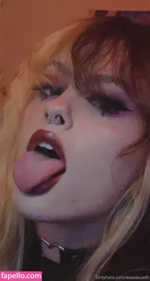 awadacado thumbnail #1662979