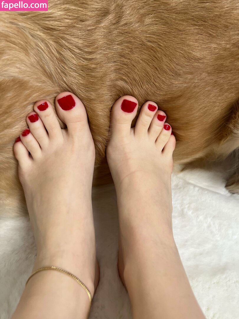 bellas_paws-1