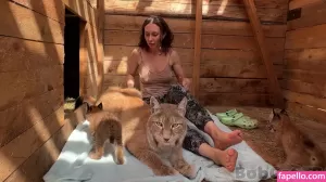 bobcat thumbnail #1694165
