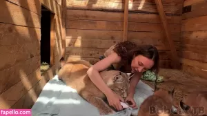 bobcat thumbnail #1694168