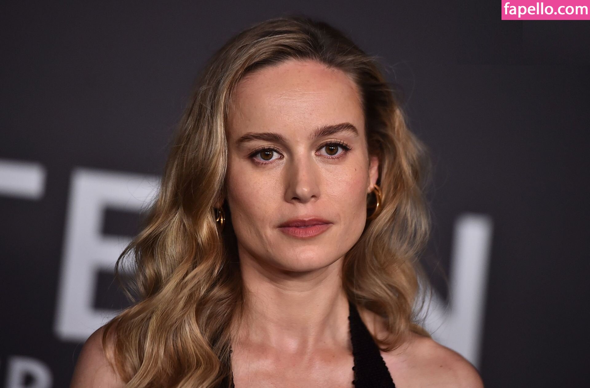 brie-larson – I Nudes – Celeb Nudes