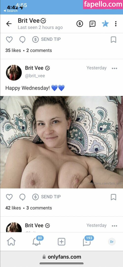 Brit_vee-3