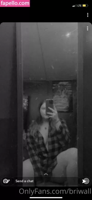 briwall thumbnail #3690343