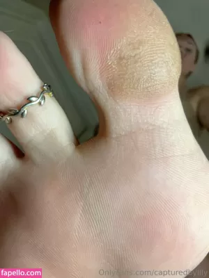 capturedbylily thumbnail #6122149
