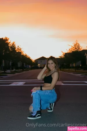 carliescorner thumbnail #3868512
