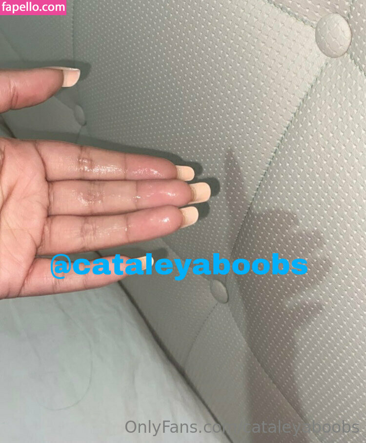 cataleyaboobs-3
