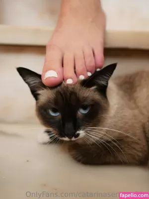 catarinaserranofree thumbnail #6104584