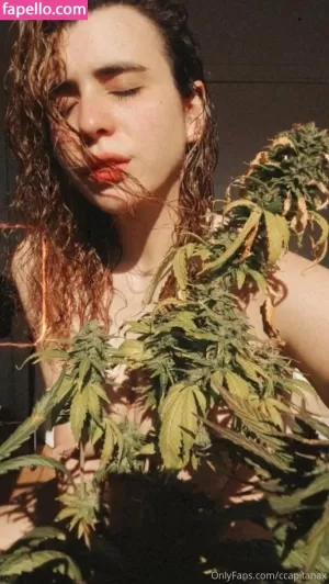 ccapitanax thumbnail #3795311