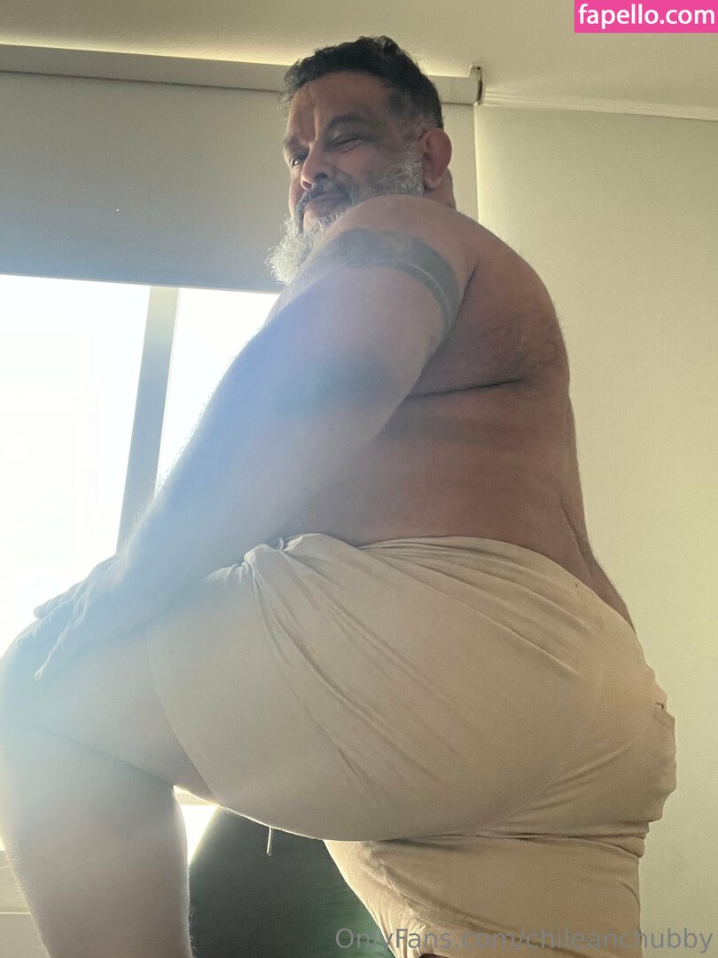 chileanchubby-2
