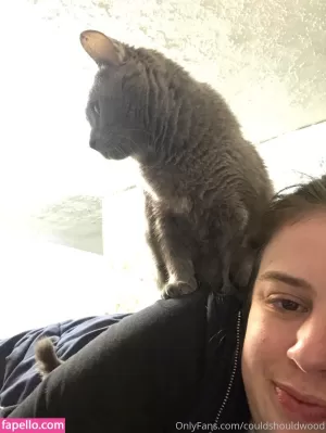 couldshouldwood thumbnail #4578988