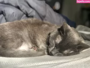 couldshouldwood thumbnail #4578984