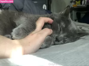 couldshouldwood thumbnail #4578983