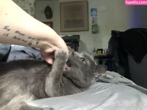 couldshouldwood thumbnail #4578982