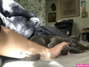 couldshouldwood thumbnail #4578981