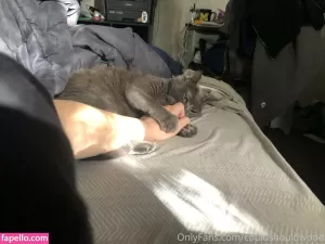 couldshouldwood thumbnail #4578980