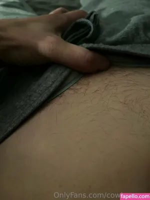 cowboy-cop thumbnail #6362862