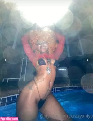crazyaniya thumbnail #3709194