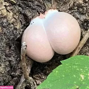 crimson-ghoul thumbnail #5332580