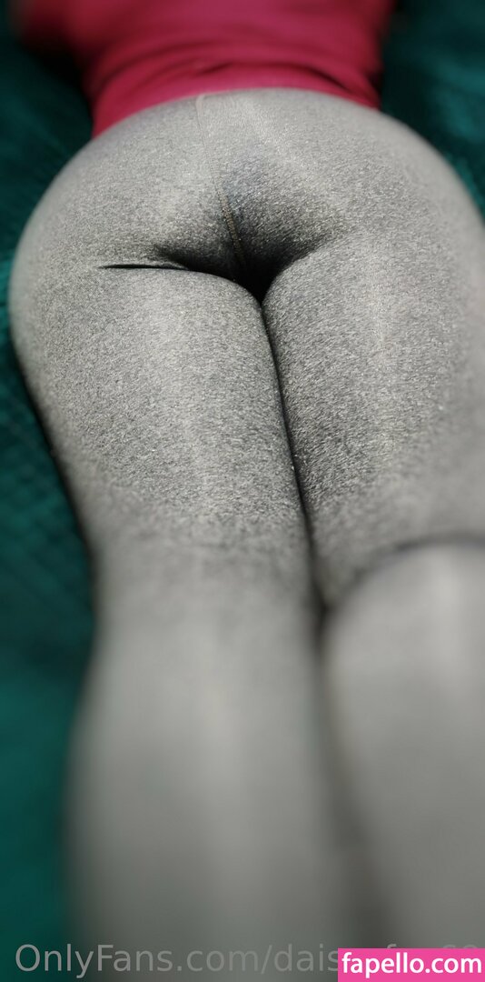 daisy_fox69-2