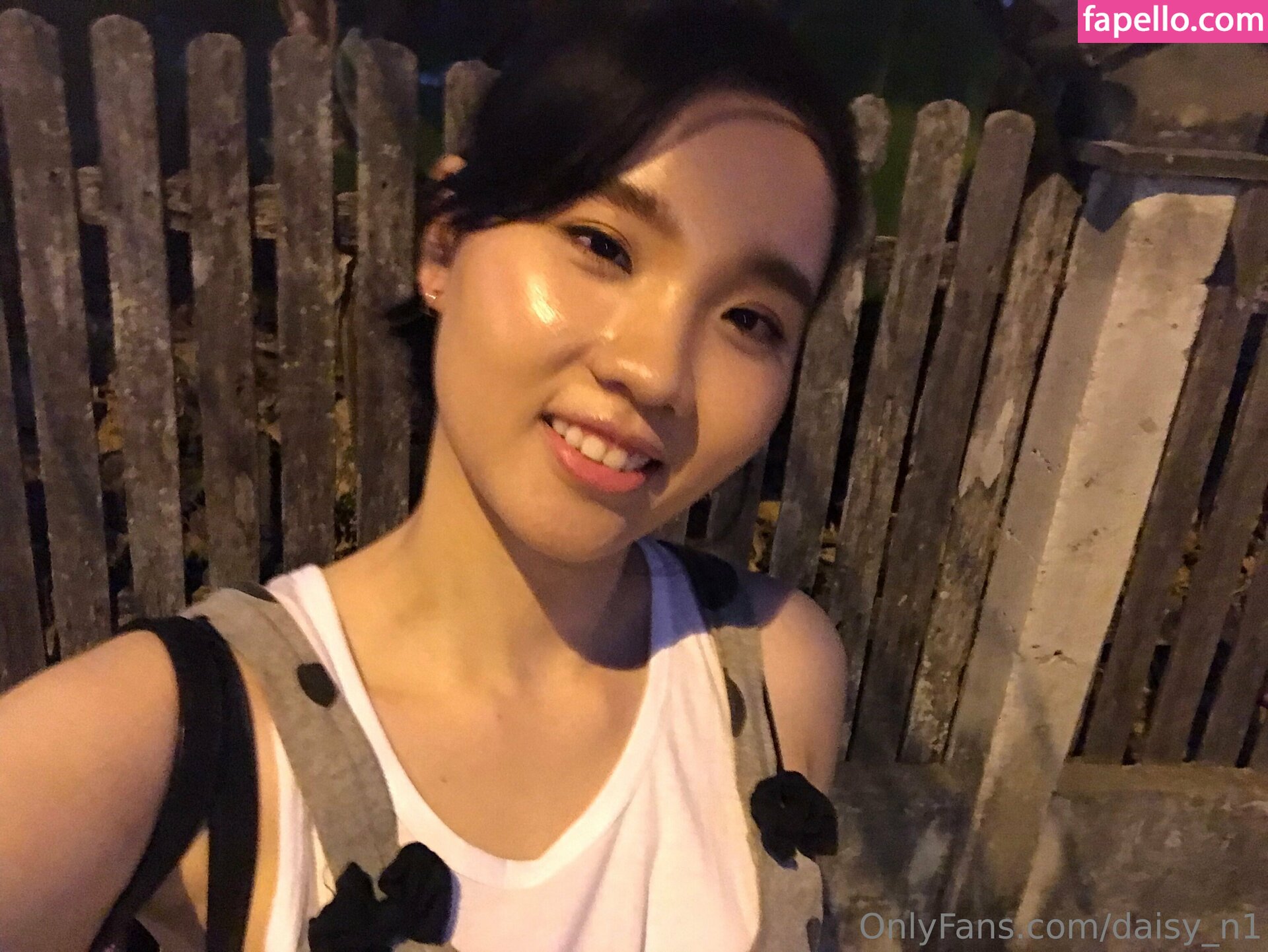 daisy_n1-2