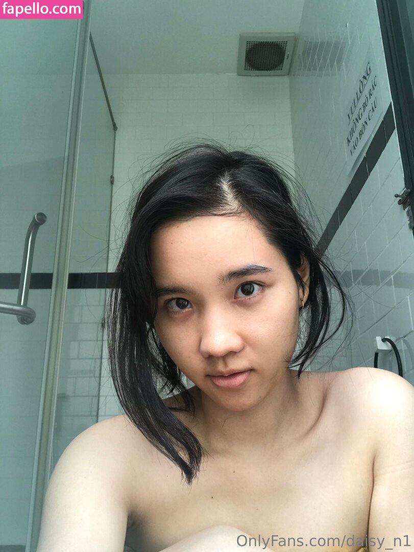 daisy_n1-1