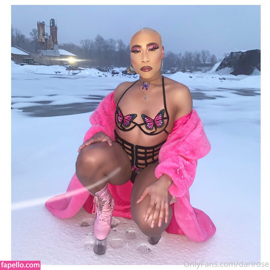 darirose-2