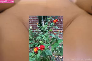 dinafairycake thumbnail #1778274