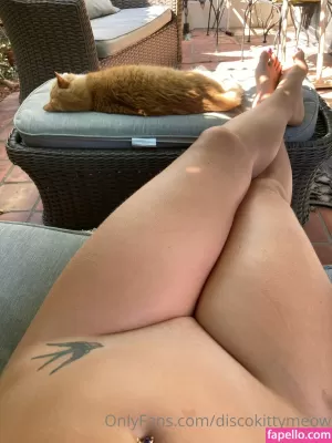 discokittymeow thumbnail #4617269