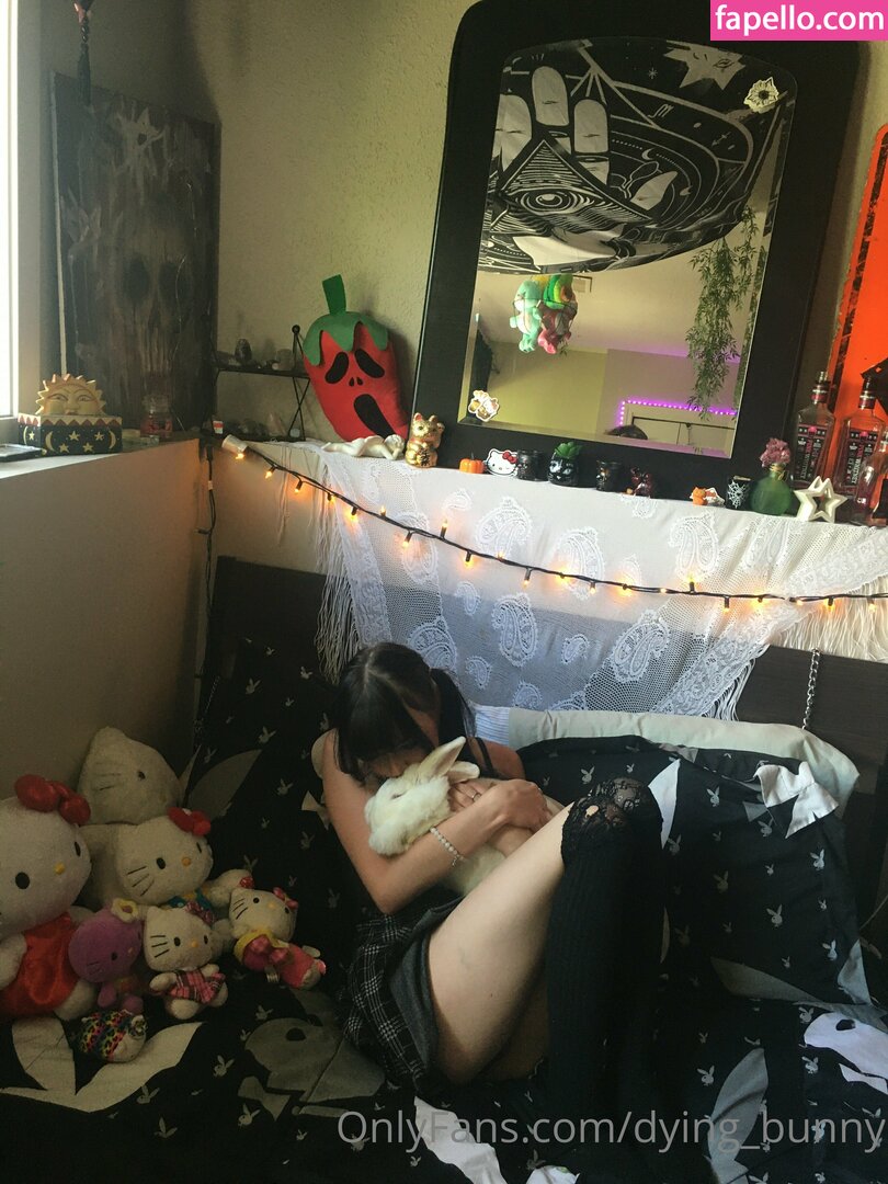 Dying_bunny-1