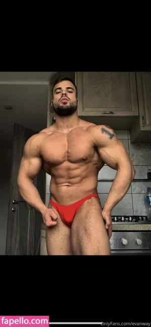 evanway thumbnail #3870338
