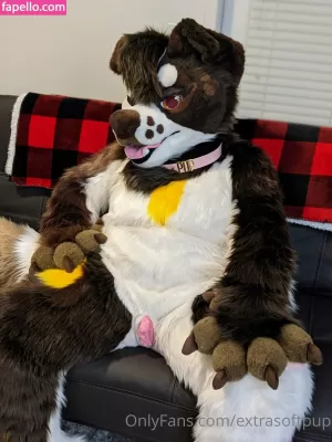 extrasoftpup thumbnail #3707171