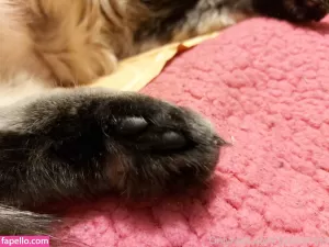 galaximoss thumbnail #3779318