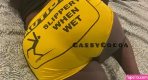 gassycocoa thumbnail #2570941