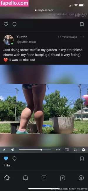 gutter-meatfree thumbnail #4280008