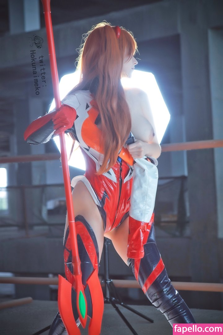 Hokunaimeko-1
