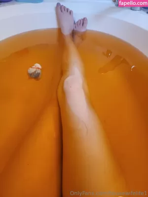 housewifelife1 thumbnail #6032743