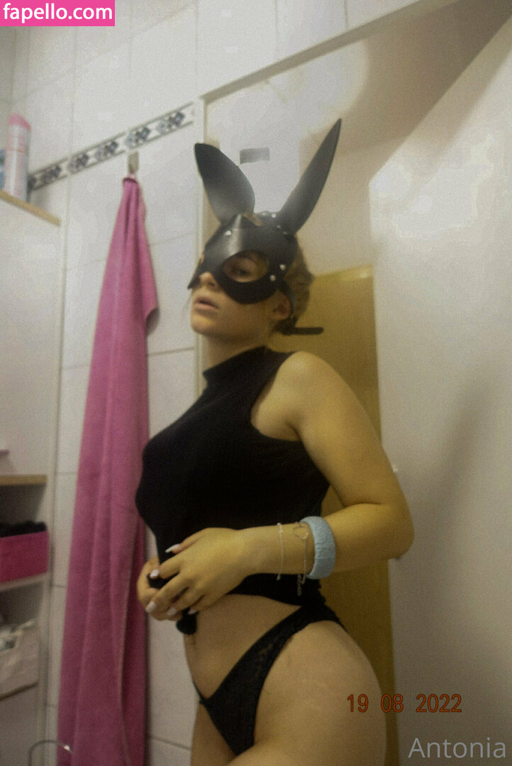 imhotantonia-2
