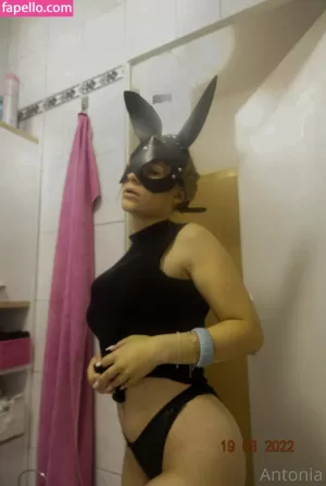 imhotantonia thumbnail #3149825