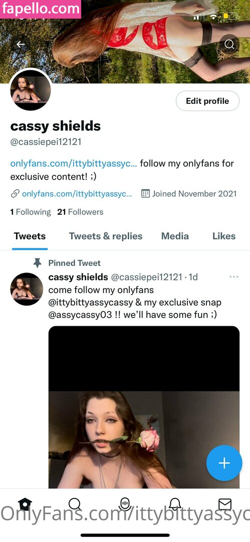 ittybittyassycassy-1